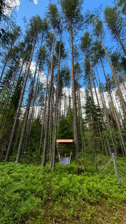 дом р-н Медвежьегорский г Медвежьегорск ул Магистральная 20 фото 29