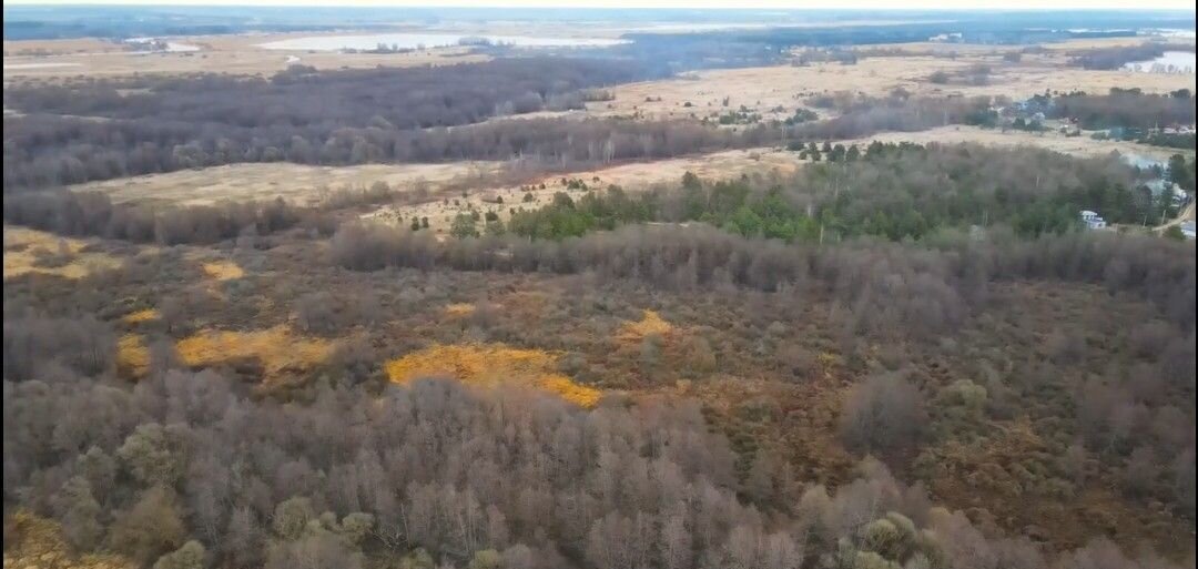 земля р-н Гвардейский п Березовка ул Дорожная Гвардейск фото 17