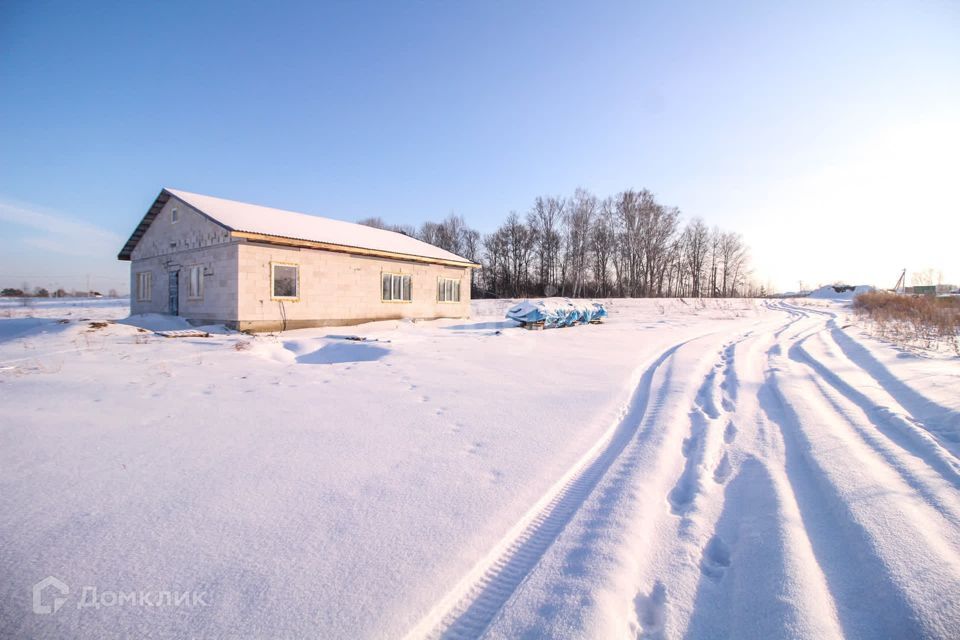 дом р-н Первомайский с Фирсово Рябиновая улица, 1 фото 9