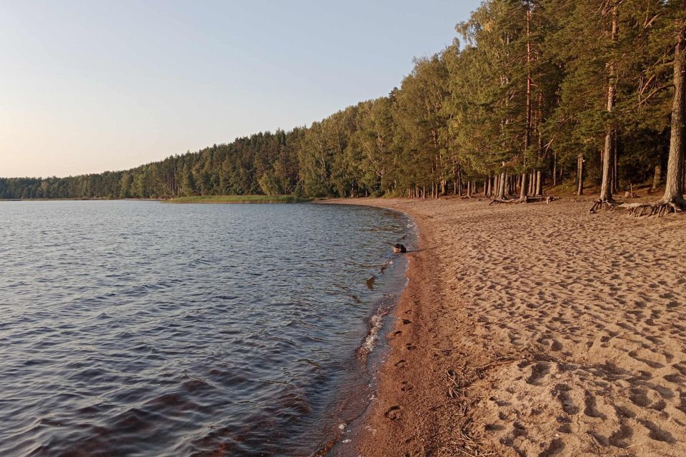 квартира р-н Выборгский п Красная Долина просёлок Красная долина, 36 фото 4