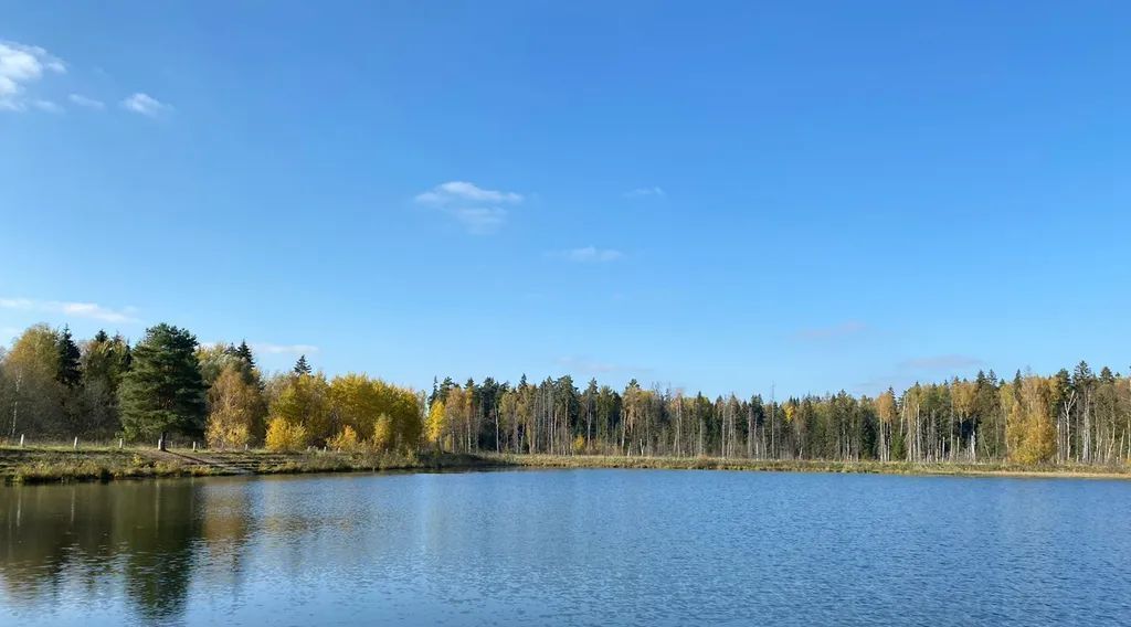 квартира городской округ Истра д Адуево ул Лазурная 15 фото 22