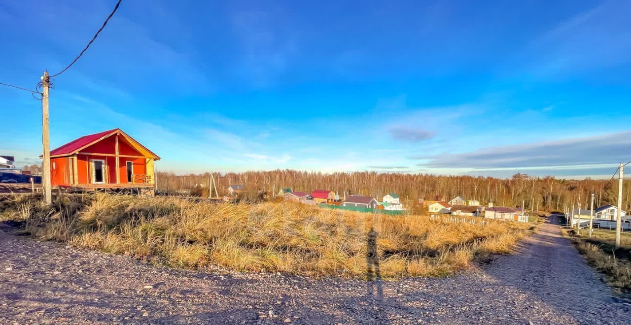 земля р-н Всеволожский Рахьинское городское поселение, Усадьба в Ириновке кп фото 16