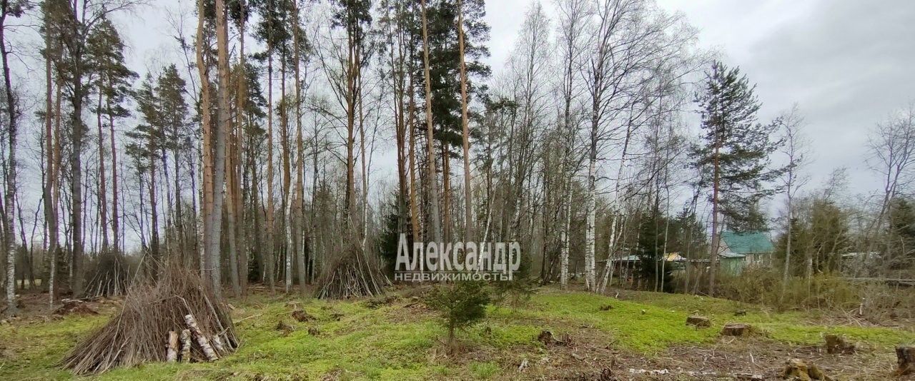 земля р-н Приозерский п Беличье ул Озерный берег 22 Ларионовское с/пос фото 1