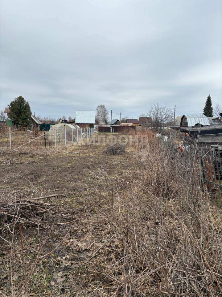 земля г Томск р-н Кировский Левобережье территория снт фото 3