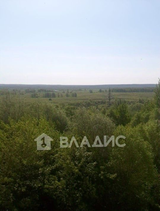 квартира г Владимир р-н Ленинский ул Диктора Левитана 55а фото 30