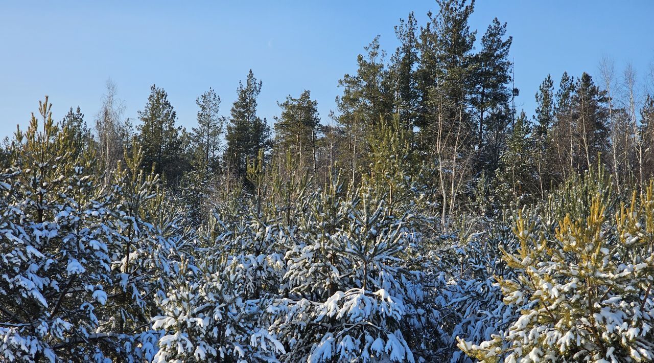 земля г Казань р-н Приволжский Лесные Холмы жилмассив фото 3