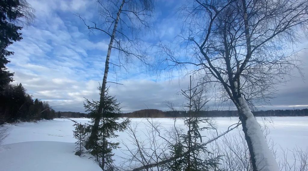 дом городской округ Истра д Родионцево 32 фото 24