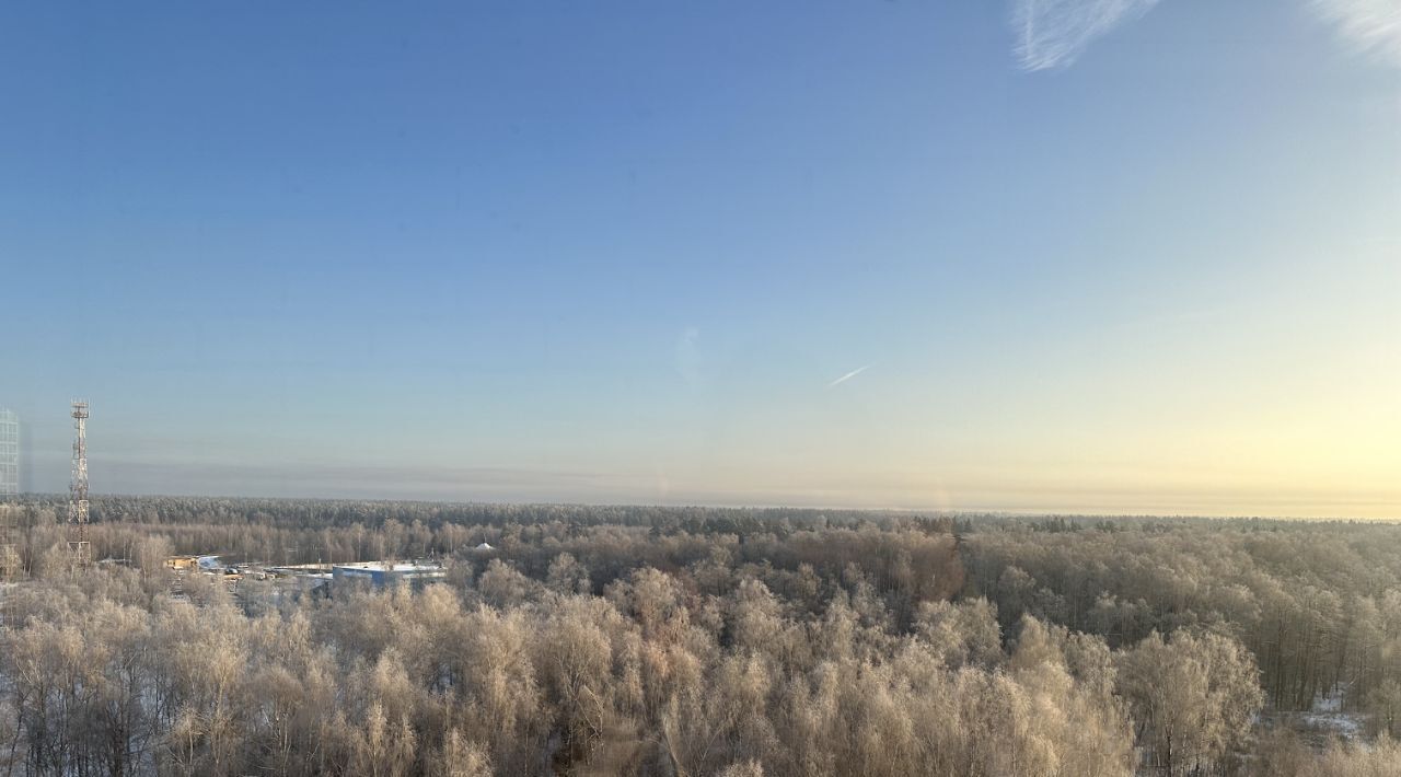 квартира г Лосино-Петровский рп Свердловский ул Берёзовая 4 фото 12