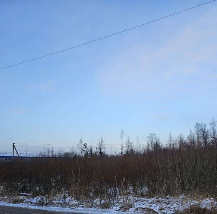 офис р-н Кировский п Мга Мгинское городское поселение фото 11