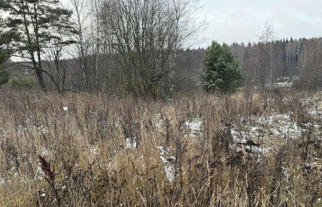 офис городской округ Богородский д Боровково р-н мкр Западный фото 1