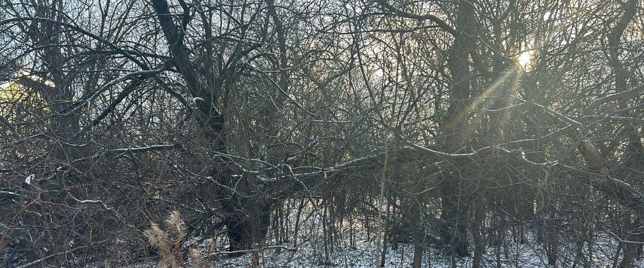 офис городской округ Ступино п Михнево фото 1