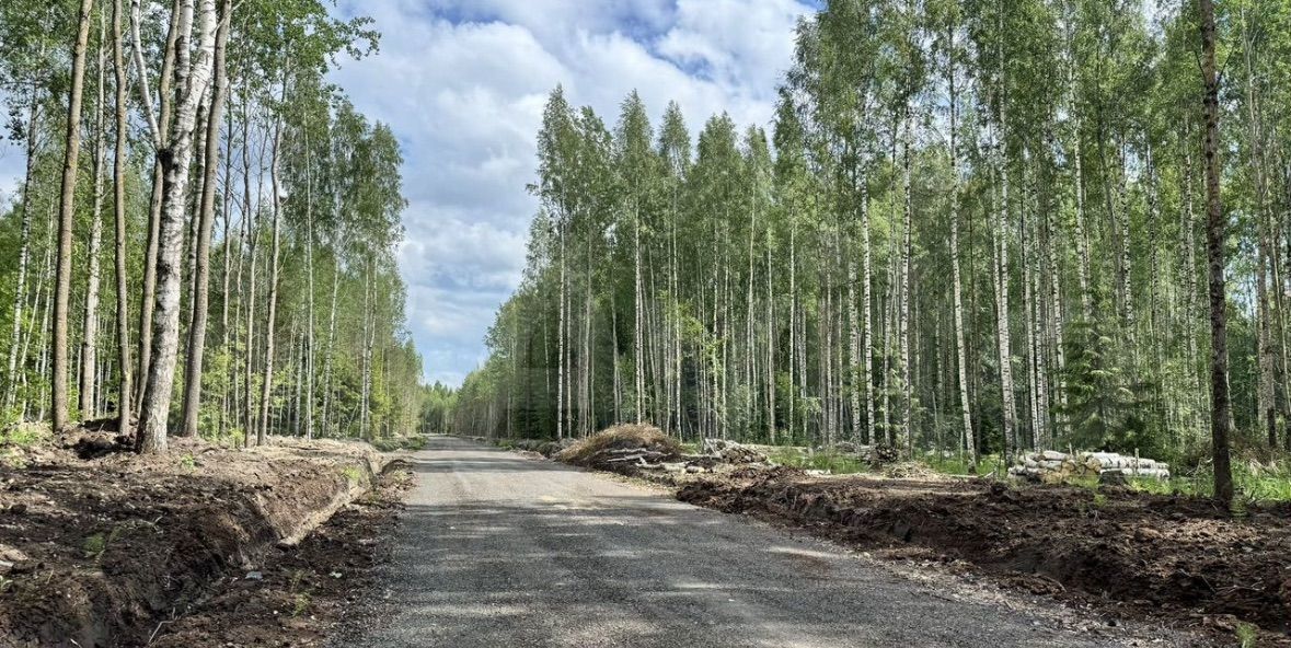 земля р-н Всеволожский г Всеволожск Дорога жизни, 12 км, Всеволожское городское поселение, коттеджный пос. Щеглово Сити, 116 фото 2