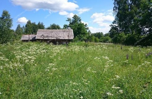 земля р-н Сокольский деревня Колобовка фото 3