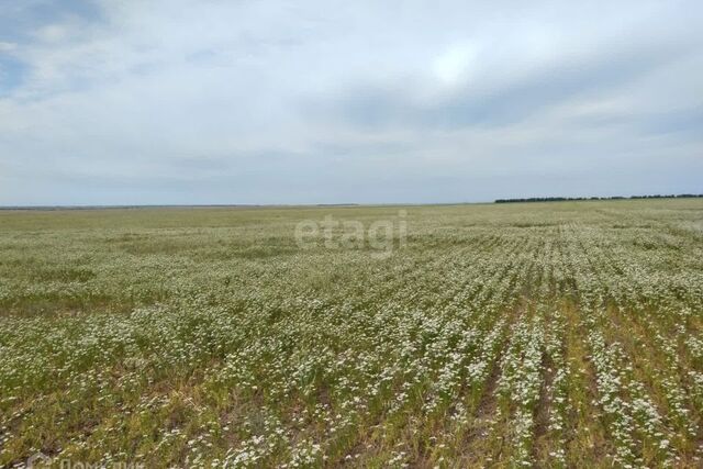 с. Кукушкино фото