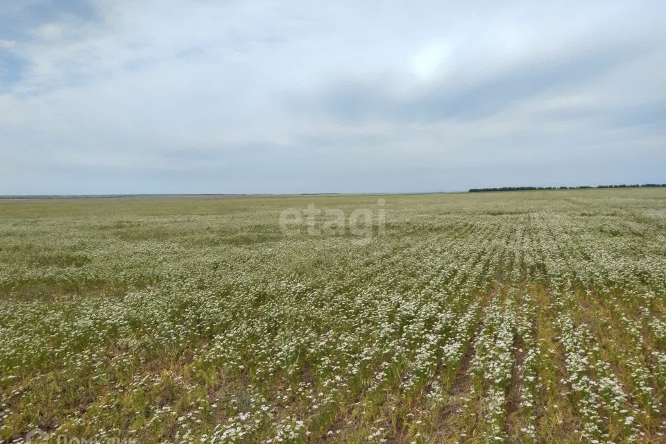 земля р-н Сакский фото 3