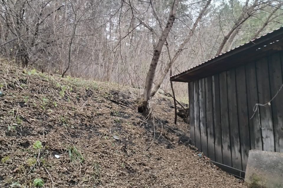 дом г Горно-Алтайск ул Социалистическая 32 Горно-Алтайск городской округ фото 10