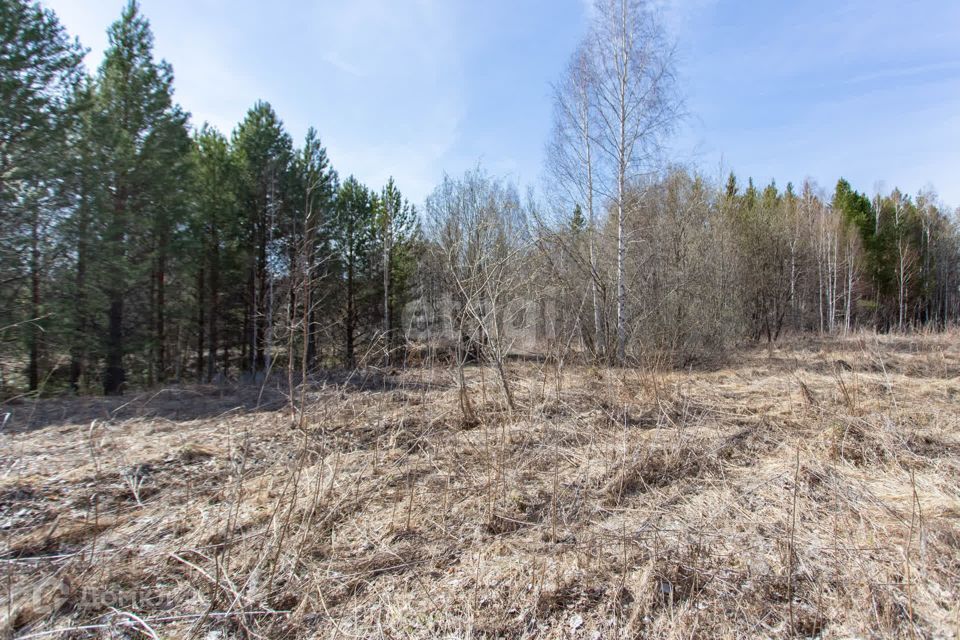 земля г Тобольск Защитино м-н, Тобольск городской округ фото 5