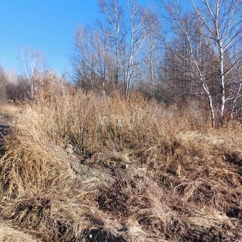 ул Лесная 1 сельское поселение Село Пивань, Комсомольский район фото