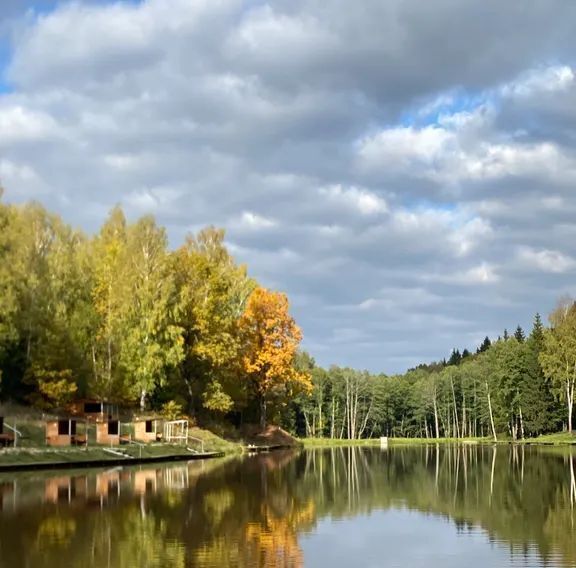 дом г Серпухов Верхнее Шахлово-1 тер., ул. Венский Лес, 55 фото 7