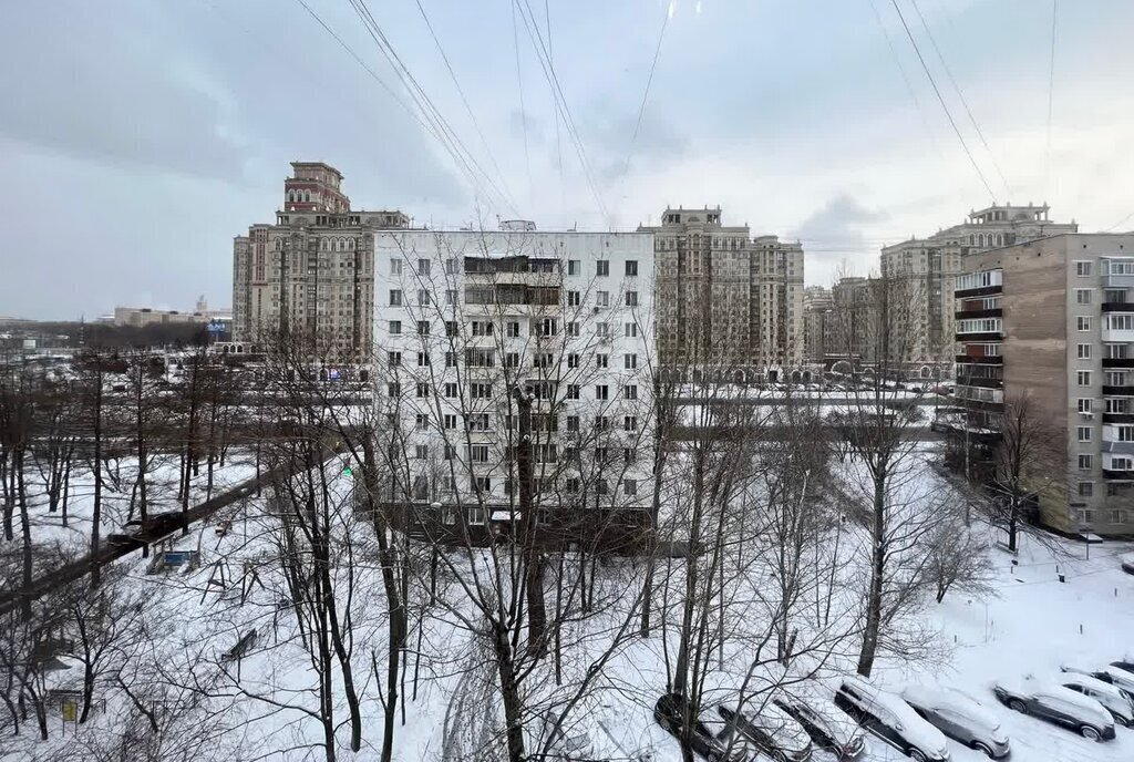 квартира г Москва метро Ломоносовский проспект пр-кт Мичуринский 8к/2 муниципальный округ Раменки фото 14