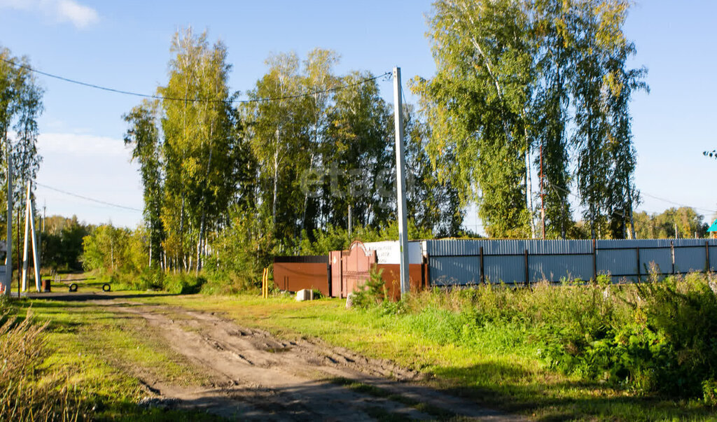 земля р-н Новосибирский с Марусино Криводановский сельсовет, Площадь Гарина-Михайловского фото 4