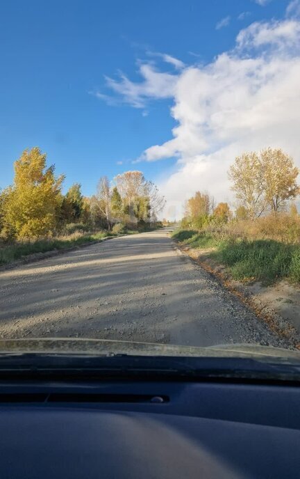 земля р-н Новосибирский дп Кудряшовский сельсовет, ДНТ Тихие зори фото 3