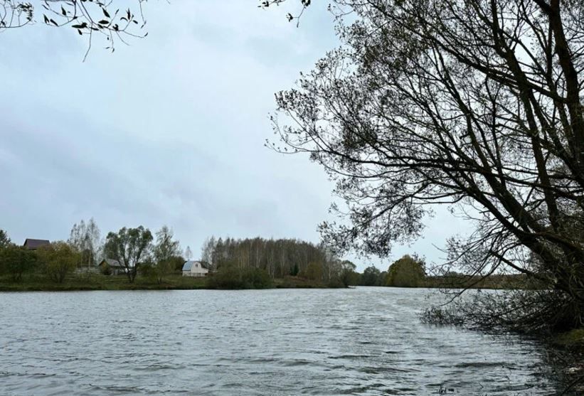 земля городской округ Домодедово 32 км, д. Бехтеево, Владимирская ул, Новокаширское шоссе фото 9