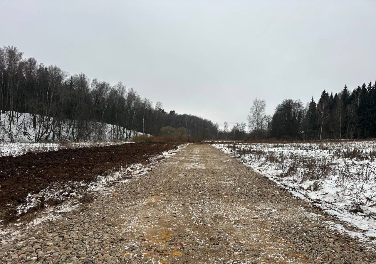 земля городской округ Можайский д Судаково 25 км, г. о. Домодедово, Новокаширское шоссе фото 2