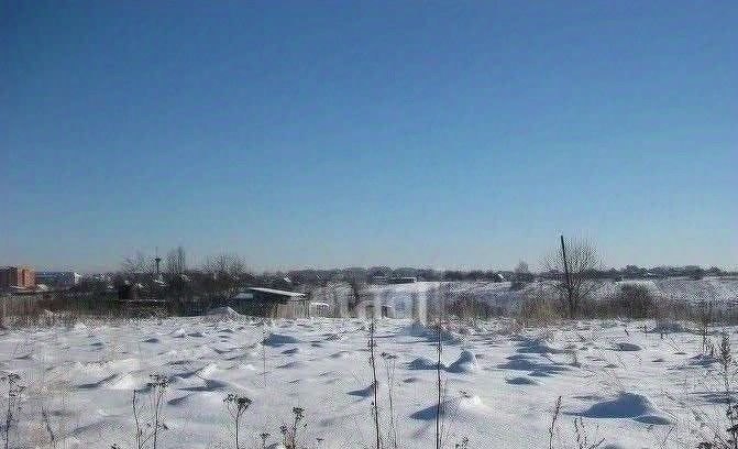 земля городской округ Луховицы д Золотухино снт Восток-2 садоводческое товарищество, 500 фото 2