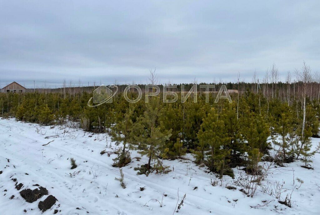 земля р-н Тугулымский п Тугулым ул Березовая фото 3