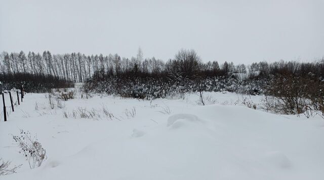 земля снт Чулпан фото