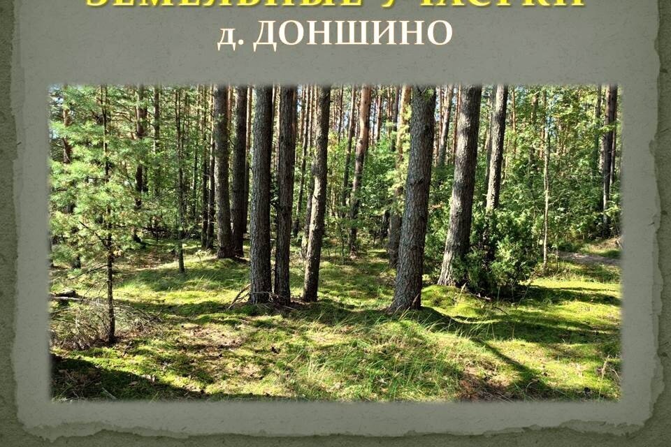 земля р-н Калининский д Доншино ул Новгородская фото 20