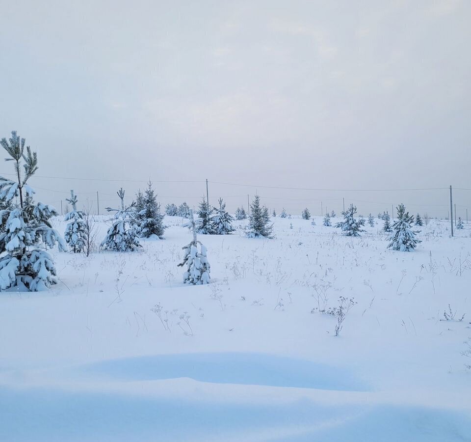 земля р-н Пермский д Большакино ул 3-я Загородная Култаево фото 3