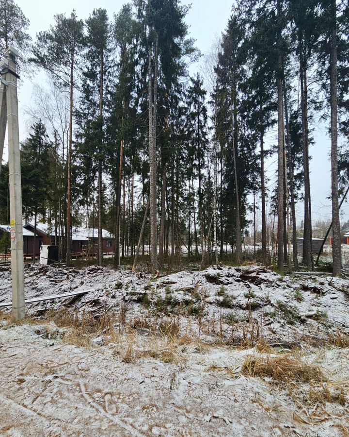 земля р-н Всеволожский г Сертолово 13 км, Всеволожский р-н, Сертоловское городское поселение, садоводческое некоммерческое товарищество Заречное, Омская ул, Александровское шоссе фото 2