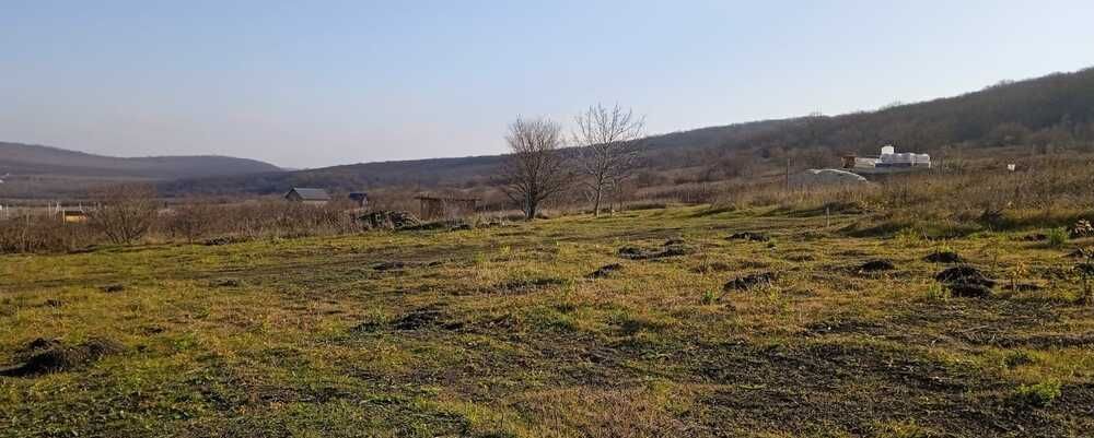 земля р-н Анапский г Анапа садово-огородническое товарищество Колос, 10-й пр, Гостагаевская фото 4