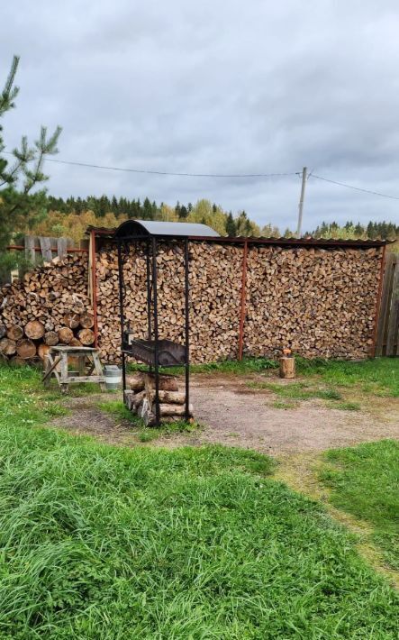 дом р-н Питкярантский Урочище Пелля тер., ул. Ладожская, 1 фото 6