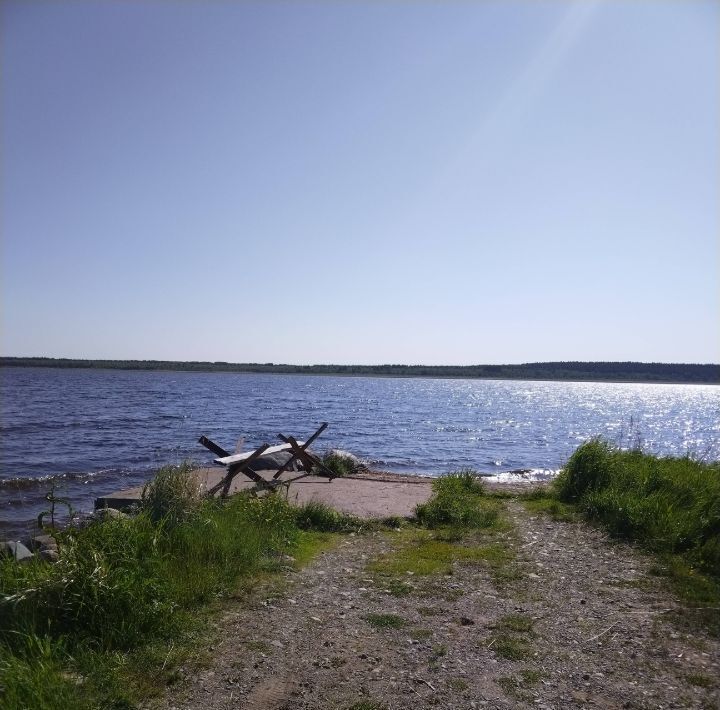 дом р-н Питкярантский Урочище Пелля тер., ул. Ладожская, 1 фото 20