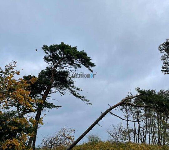 ул Гагарина Пионерский городской округ фото