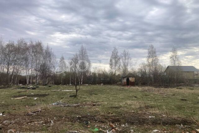 Тюмень городской округ, СТ Поле чудес-2 фото