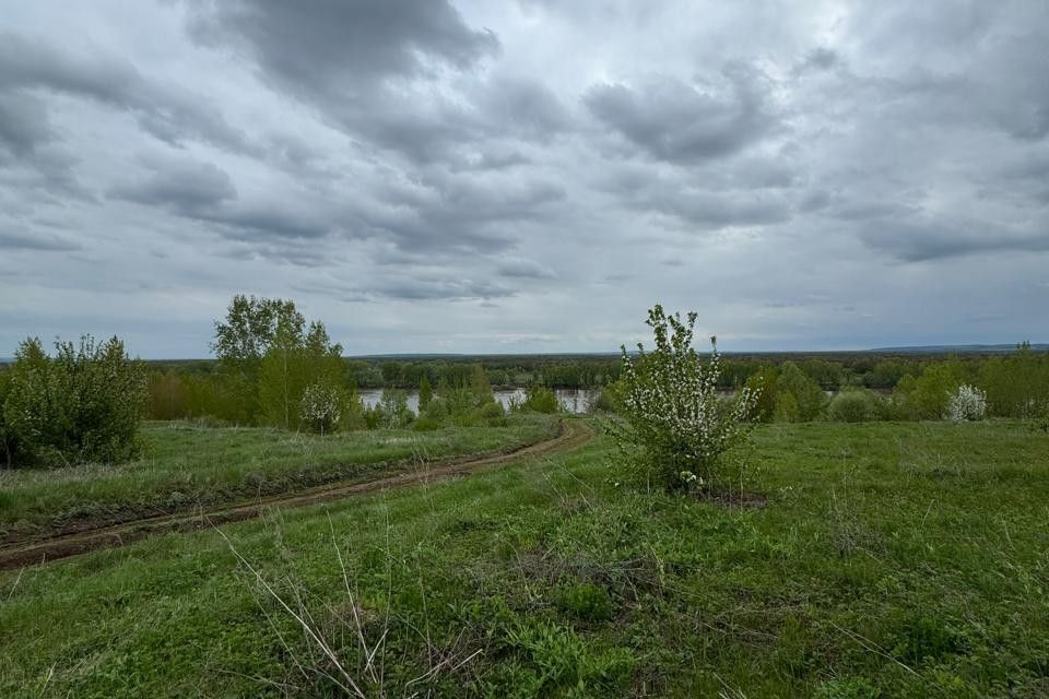 земля р-н Благовещенский фото 2