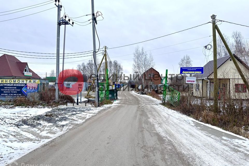 земля г Тюмень Тюмень городской округ, СНТ Берёзовая роща фото 9