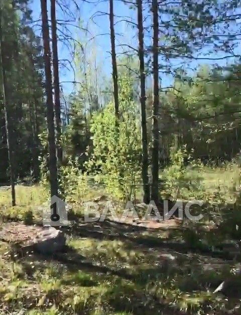 земля р-н Выборгский п Рощино пр-д Пойменный Рощинское городское поселение фото 5