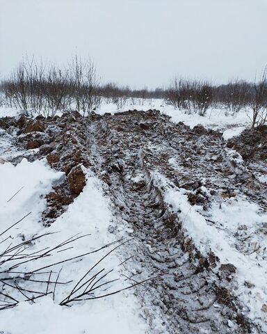 земля д Павлищево сельское поселение Брюхово, Медынь фото