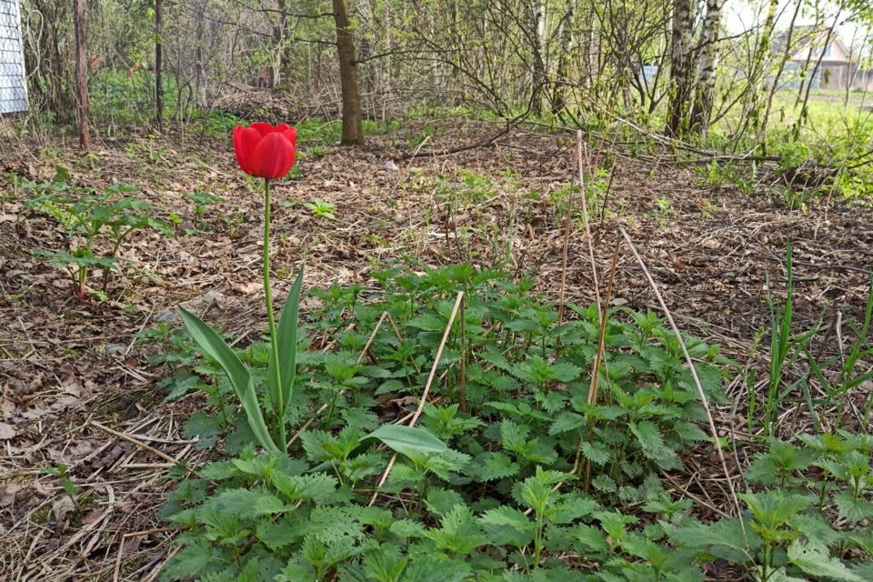 земля городской округ Воскресенск д Щельпино ул Центральная 66 фото 1