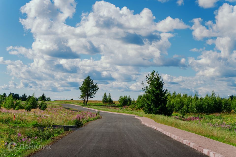 земля р-н Выборгский фото 1