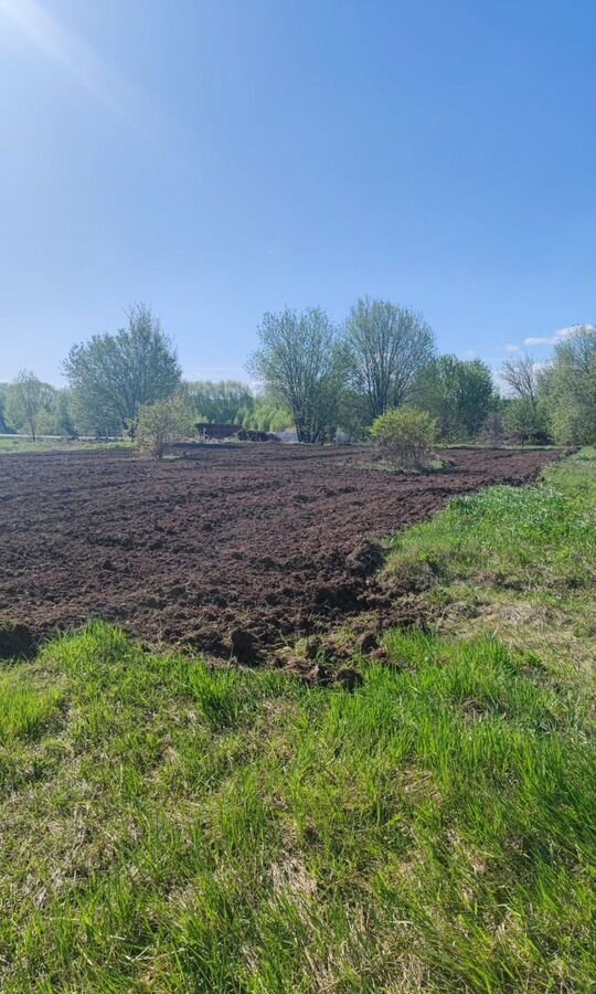 земля р-н Суздальский с Гнездилово ул Центральная 4 муниципальное образование Селецкое, Суздаль фото 5