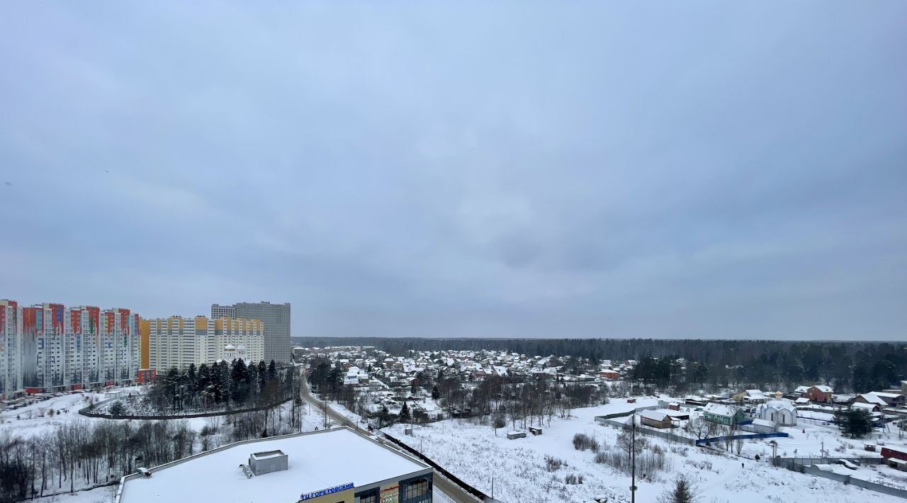 квартира городской округ Солнечногорск д Голубое пр-д Тверецкий 17 Зеленоград — Крюково фото 16