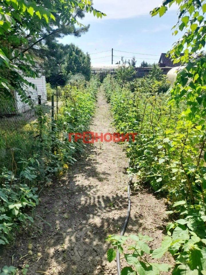 дом г Новосибирск р-н Кировский ул Прокопьевская 440/1 фото 8