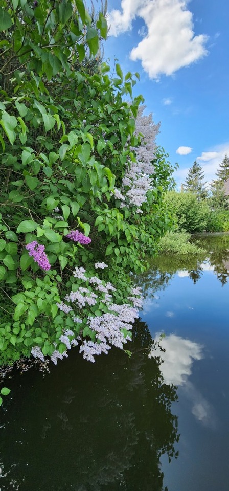 дом г Калининград р-н Центральный ул Сызранская 371г фото 33