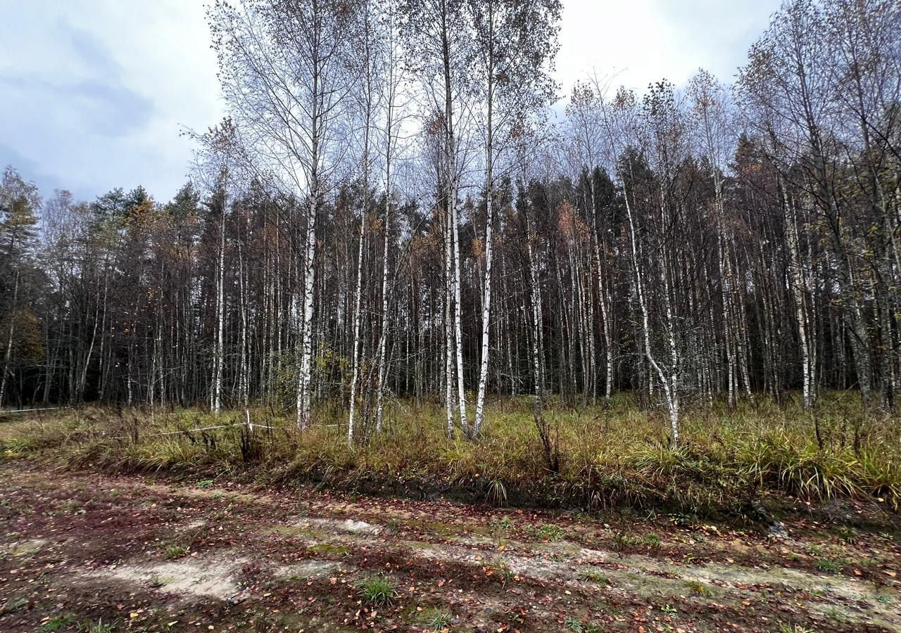 земля городской округ Волоколамский с Теряево 87 км, Волоколамск, Новорижское шоссе фото 4